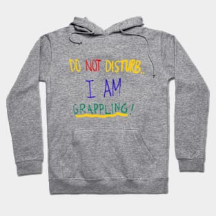 Do Not Disturb.. I Am Grappling! Hoodie